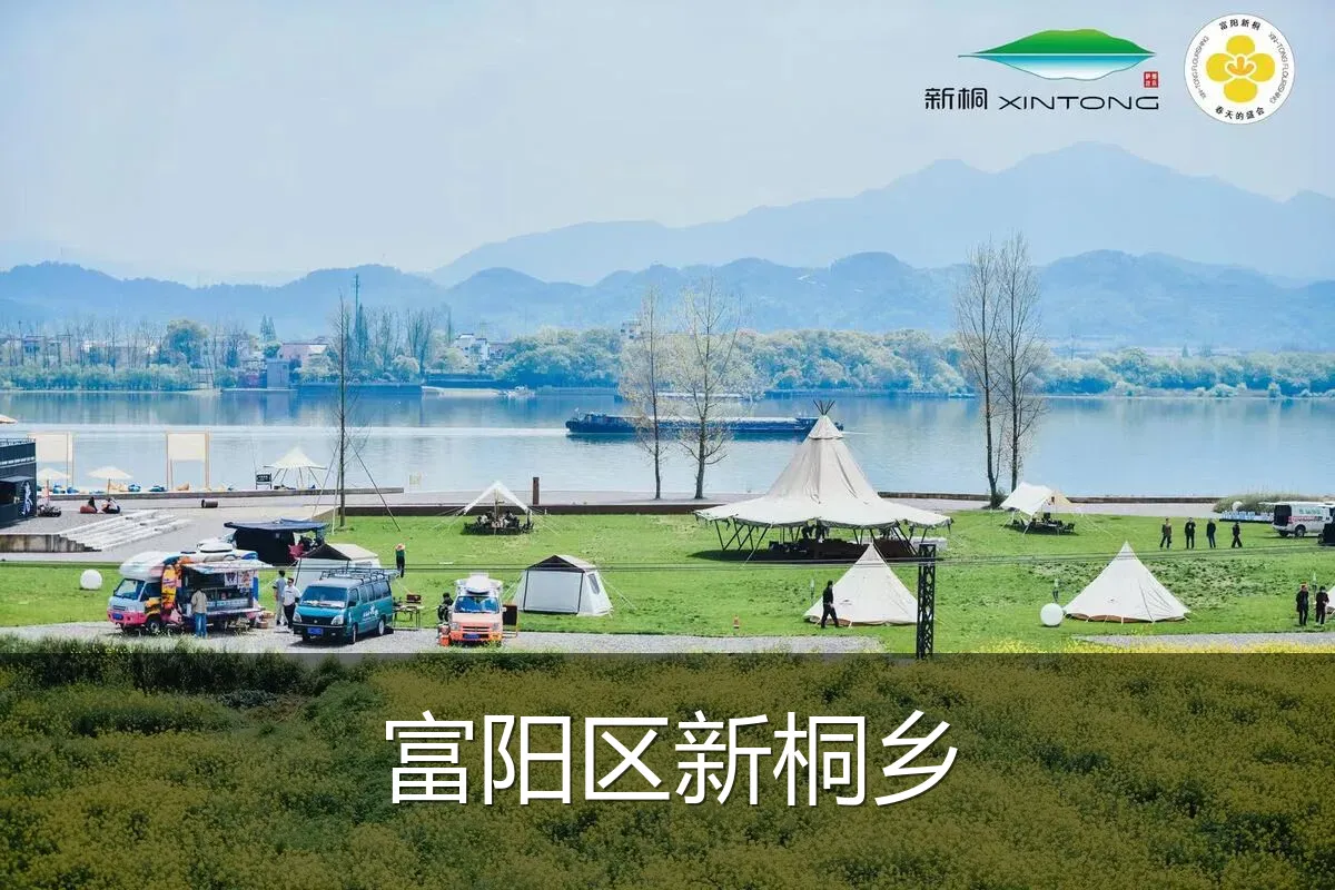 富阳区新桐乡