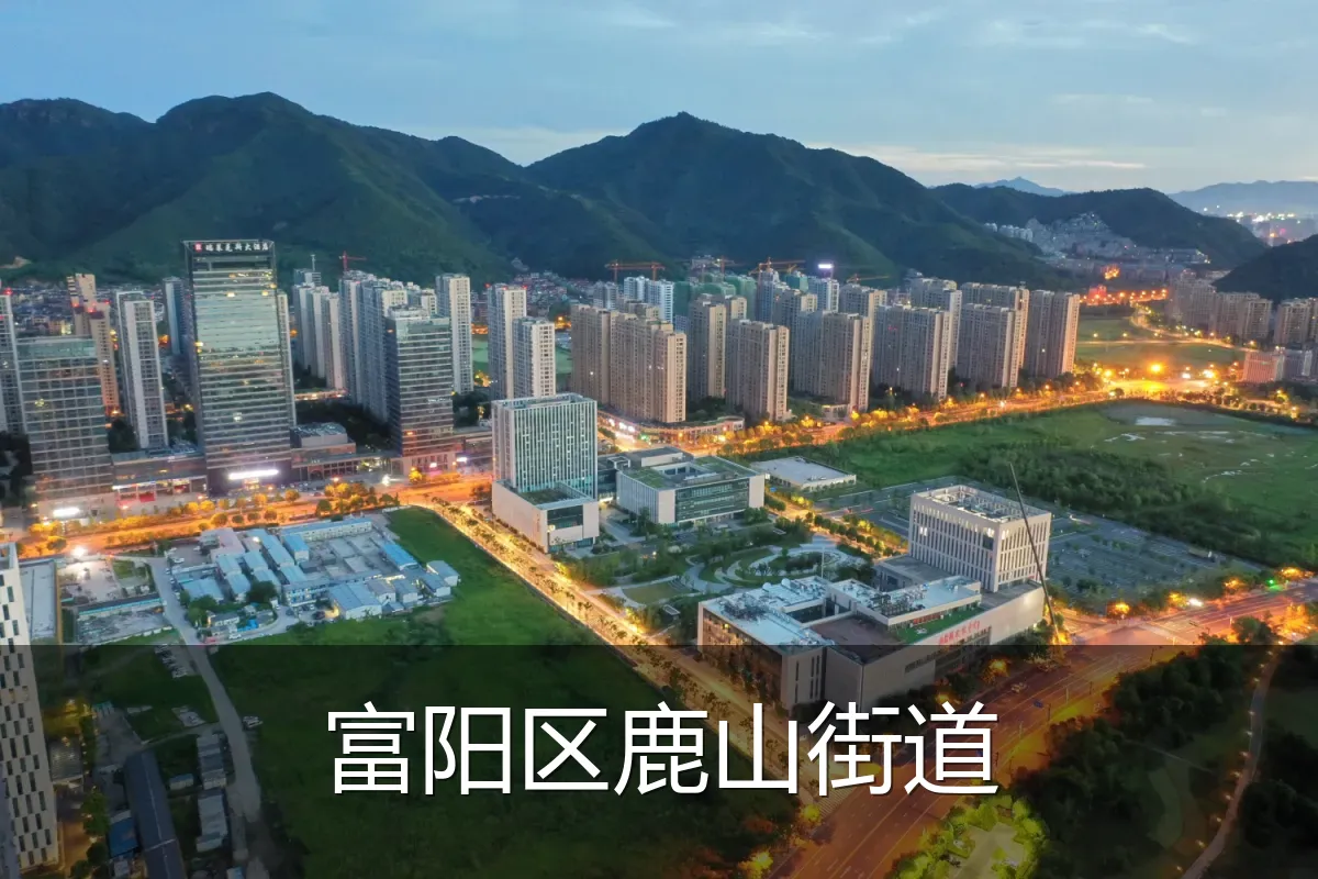 富阳区鹿山街道